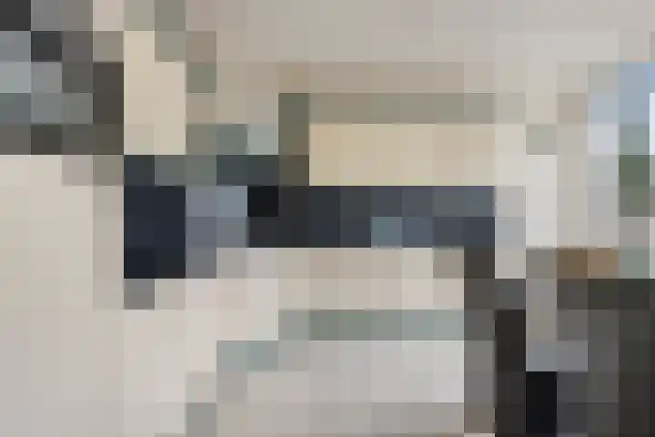 de Eik 69 Didam thumbnail 6