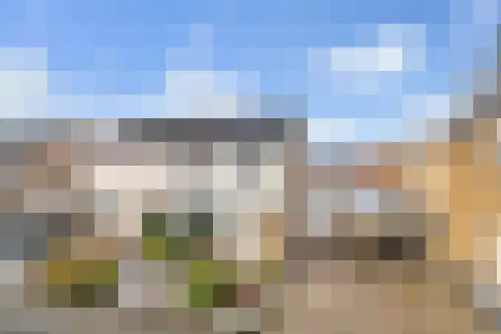 de Eik 77 in Didam