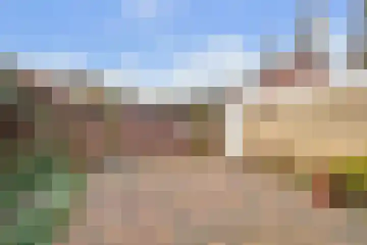 de Eik 77 Didam thumbnail 15