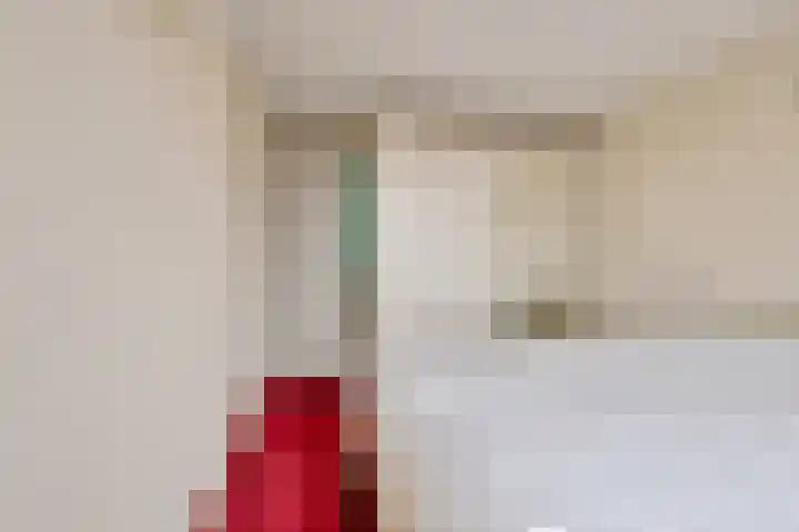 de Eik 77 Didam thumbnail 17