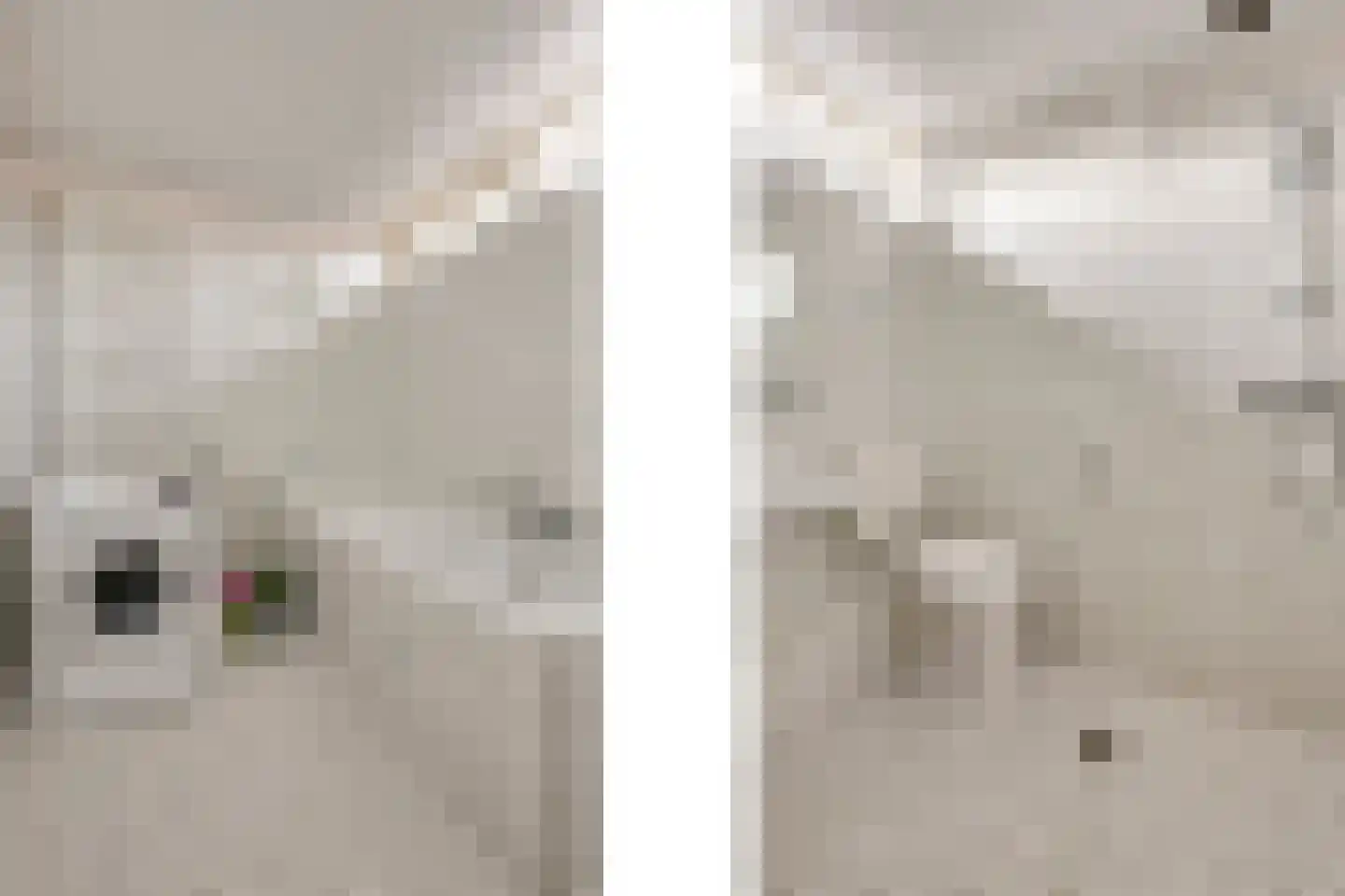 de Eik 77 Didam thumbnail 22