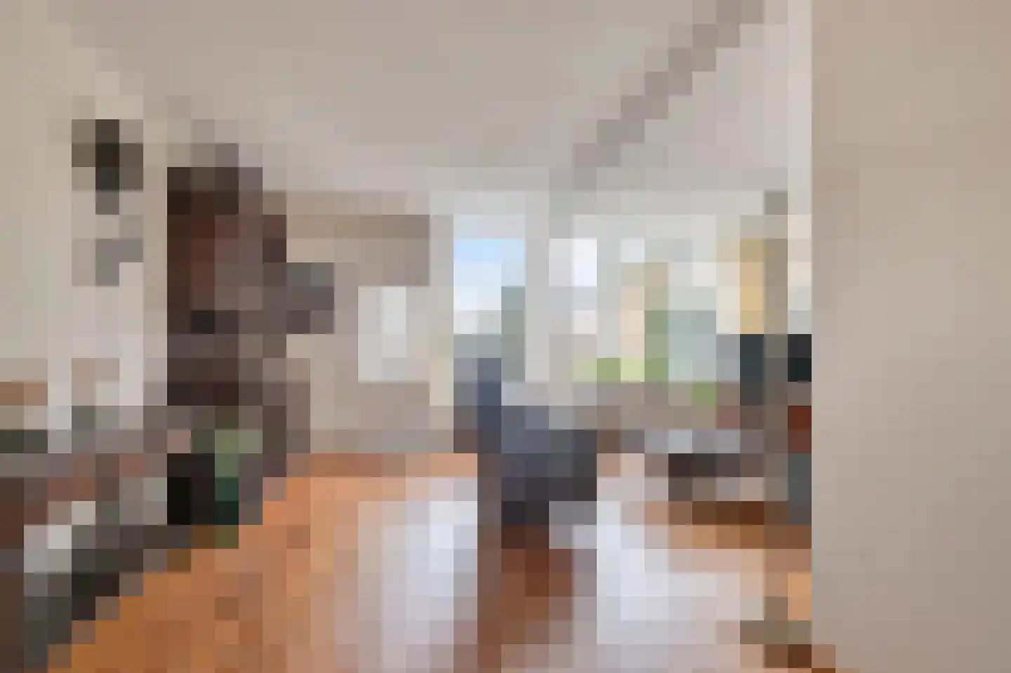 de Eik 77 Didam thumbnail 6