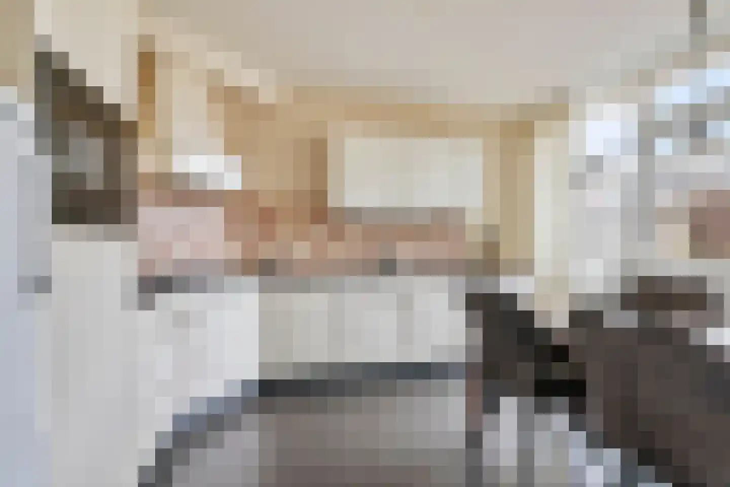 de Eik 77 Didam thumbnail 7