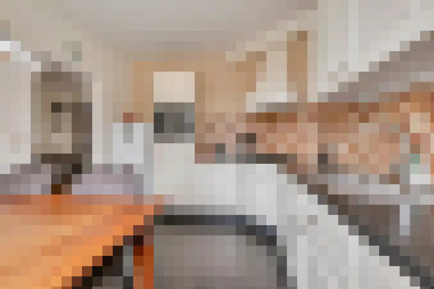 de Eik 77 Didam thumbnail 9