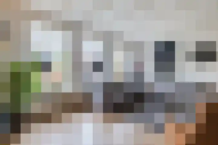 De Eikelaars 5 Vroomshoop thumbnail 10