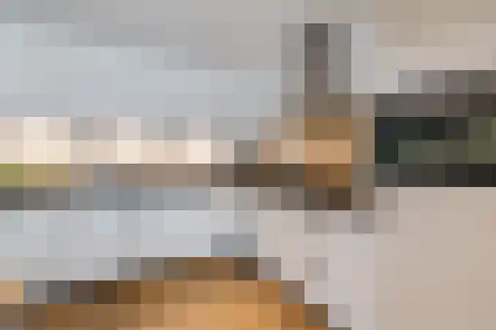 De Eikelaars 5 Vroomshoop thumbnail 11