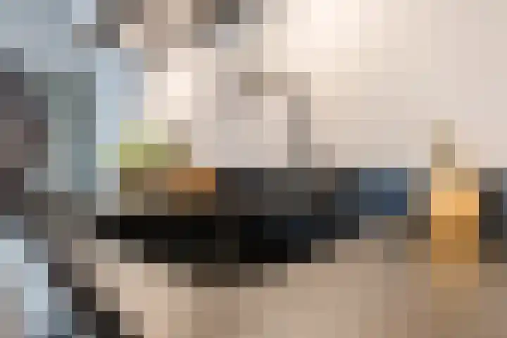 De Eikelaars 5 Vroomshoop thumbnail 12