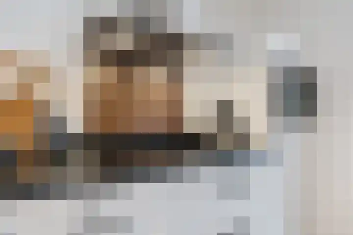 De Eikelaars 5 Vroomshoop thumbnail 13