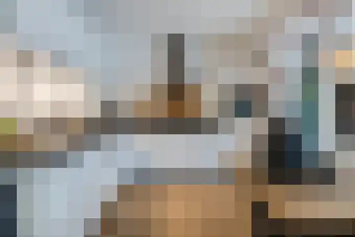 De Eikelaars 5 Vroomshoop thumbnail 14