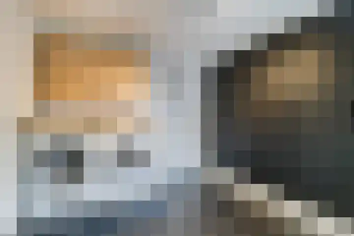 De Eikelaars 5 Vroomshoop thumbnail 16