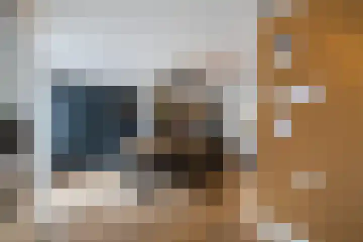 De Eikelaars 5 Vroomshoop thumbnail 18