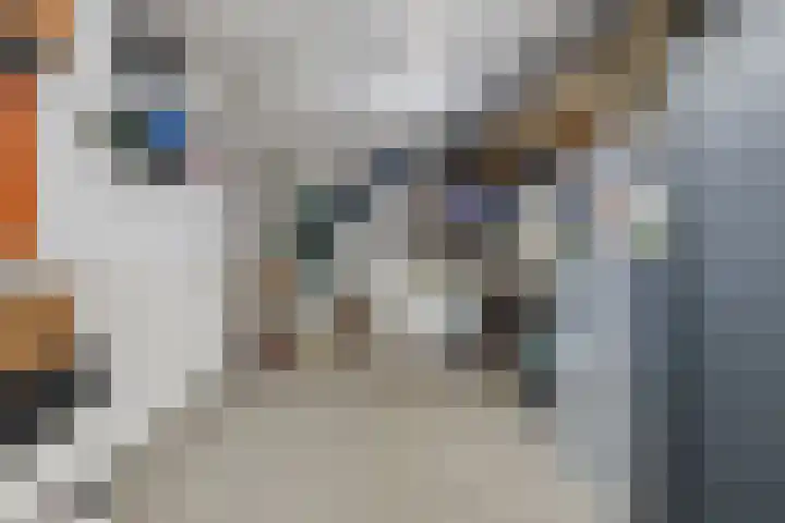 De Eikelaars 5 Vroomshoop thumbnail 20