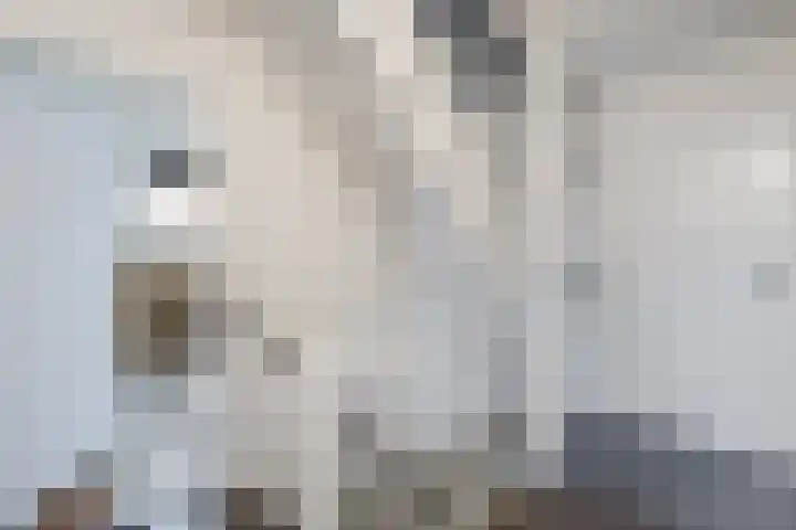 De Eikelaars 5 Vroomshoop thumbnail 22