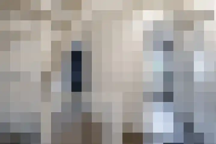 De Eikelaars 5 Vroomshoop thumbnail 23