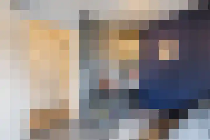 De Eikelaars 5 Vroomshoop thumbnail 25