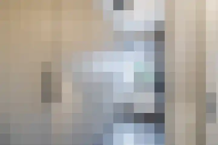 De Eikelaars 5 Vroomshoop thumbnail 28