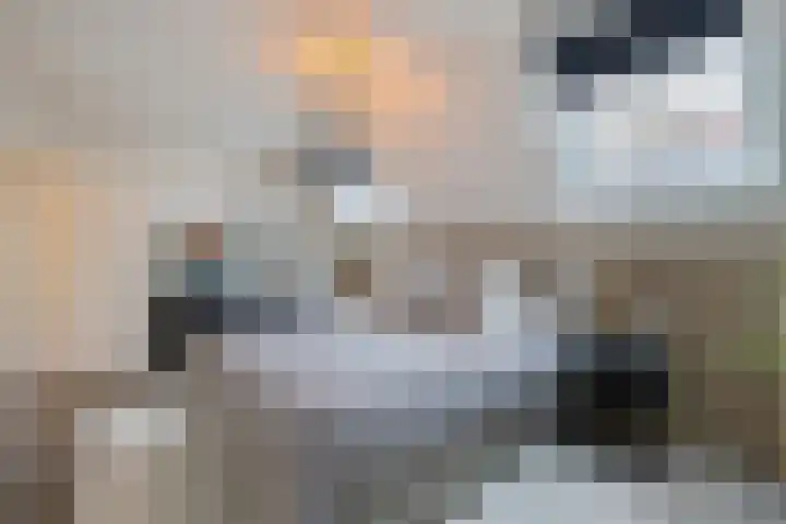 De Eikelaars 5 Vroomshoop thumbnail 29