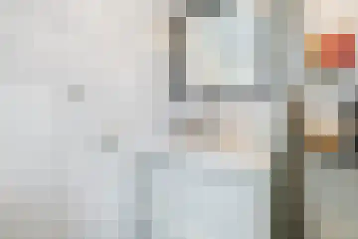 De Eikelaars 5 Vroomshoop thumbnail 32