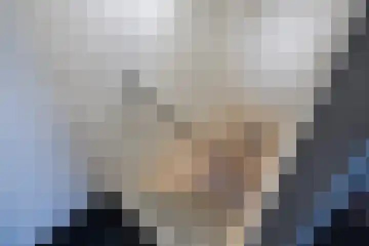De Eikelaars 5 Vroomshoop thumbnail 34