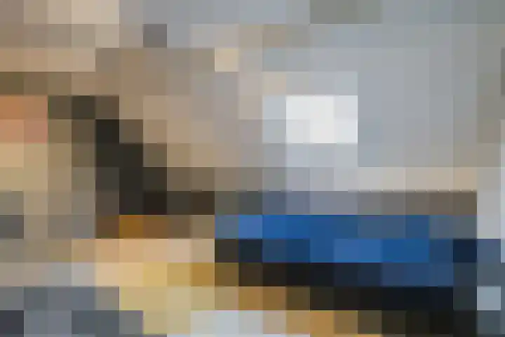 De Eikelaars 5 Vroomshoop thumbnail 35