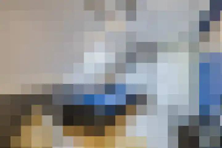 De Eikelaars 5 Vroomshoop thumbnail 37