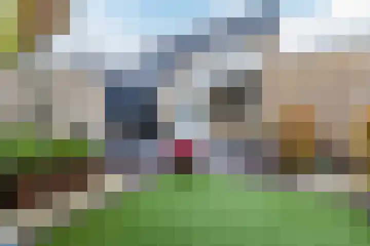 De Eikelaars 5 Vroomshoop thumbnail 39