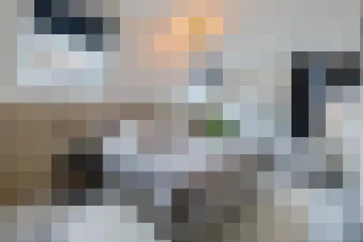 De Eikelaars 5 Vroomshoop thumbnail 4