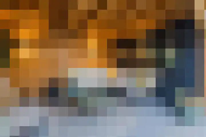De Eikelaars 5 Vroomshoop thumbnail 40
