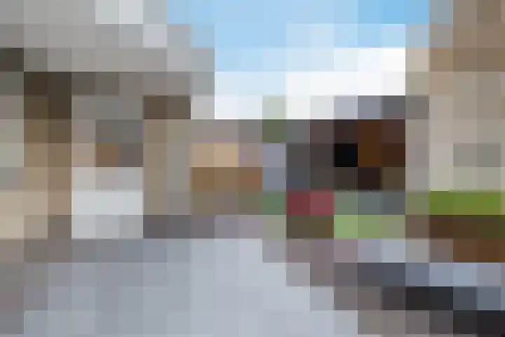 De Eikelaars 5 Vroomshoop thumbnail 42