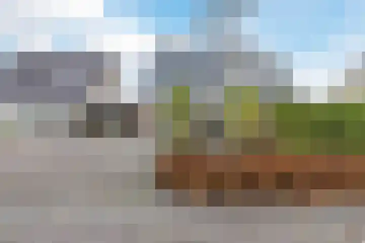 De Eikelaars 5 Vroomshoop thumbnail 45