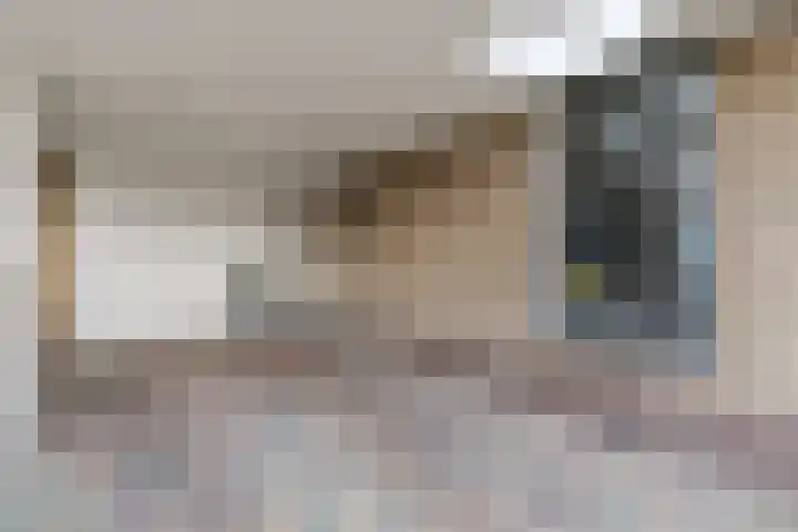 De Eikelaars 5 Vroomshoop thumbnail 46