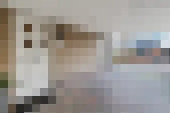 De Eikelaars 5 Vroomshoop thumbnail 47
