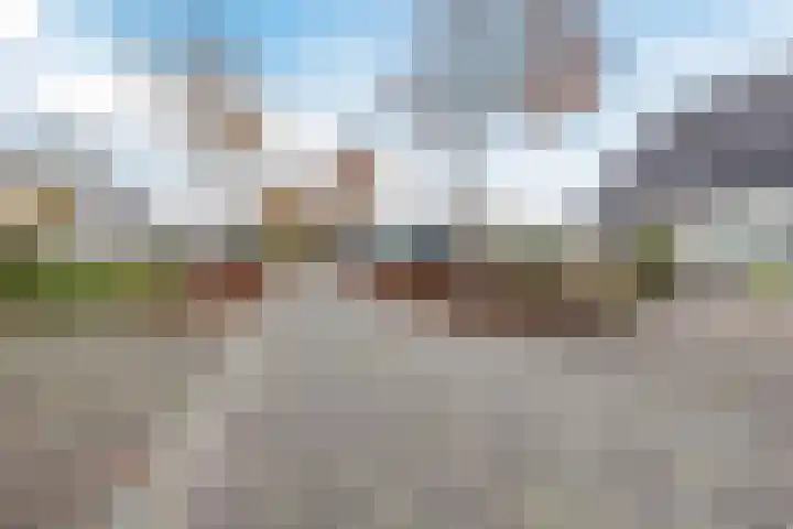 De Eikelaars 5 Vroomshoop thumbnail 48