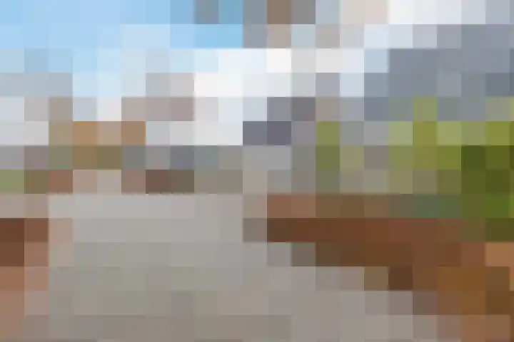 De Eikelaars 5 Vroomshoop thumbnail 49