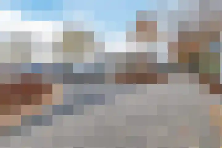 De Eikelaars 5 Vroomshoop thumbnail 50