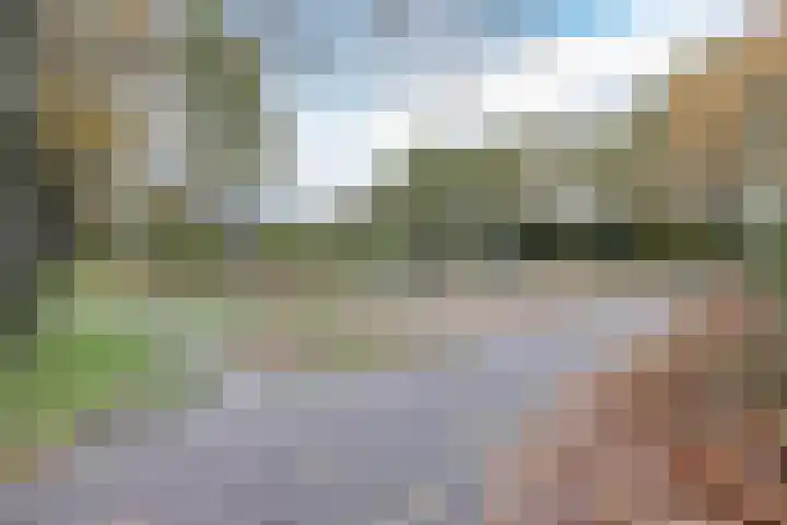 De Eikelaars 5 Vroomshoop thumbnail 51