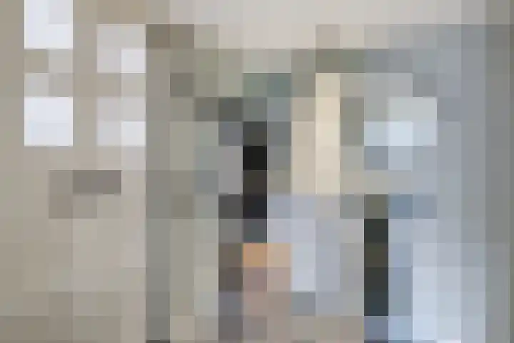 De Eikelaars 5 Vroomshoop thumbnail 6
