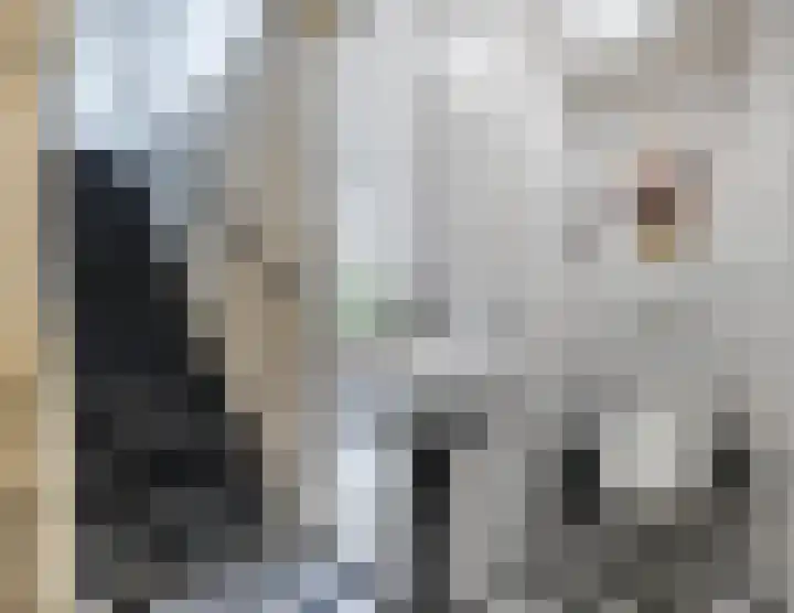 De Eikelaars 5 Vroomshoop thumbnail 7