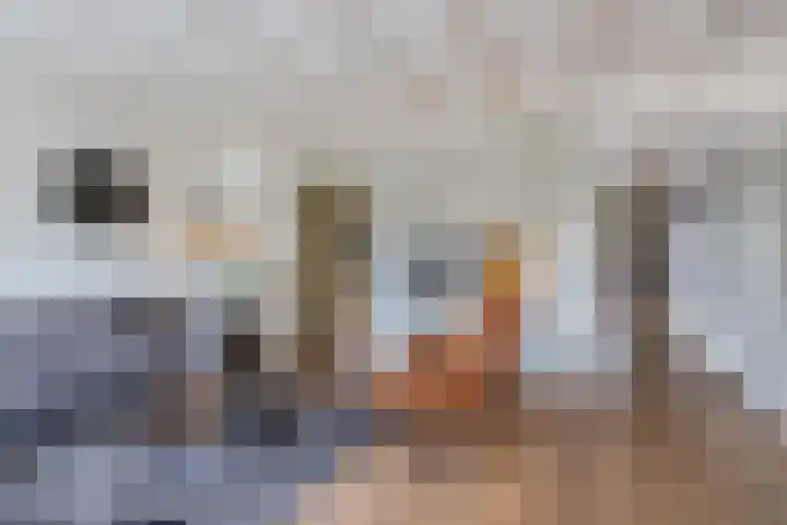 De Eikelaars 5 Vroomshoop thumbnail 9
