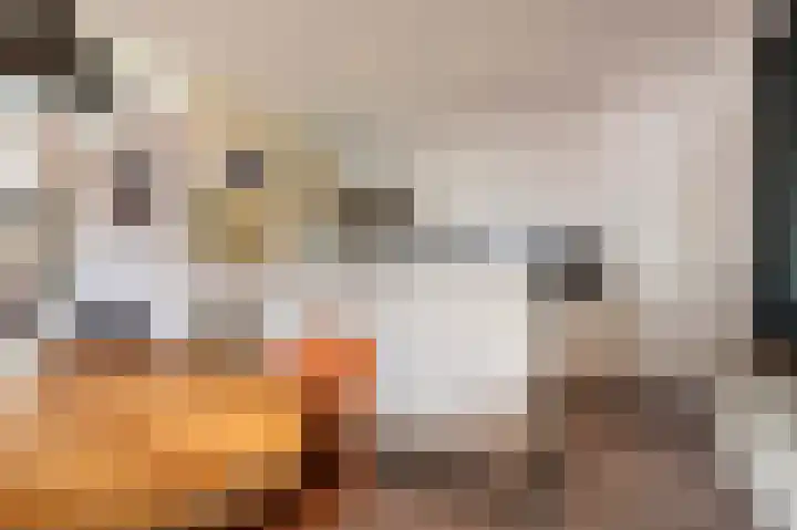 De Eikelaars 6 Vroomshoop thumbnail 13