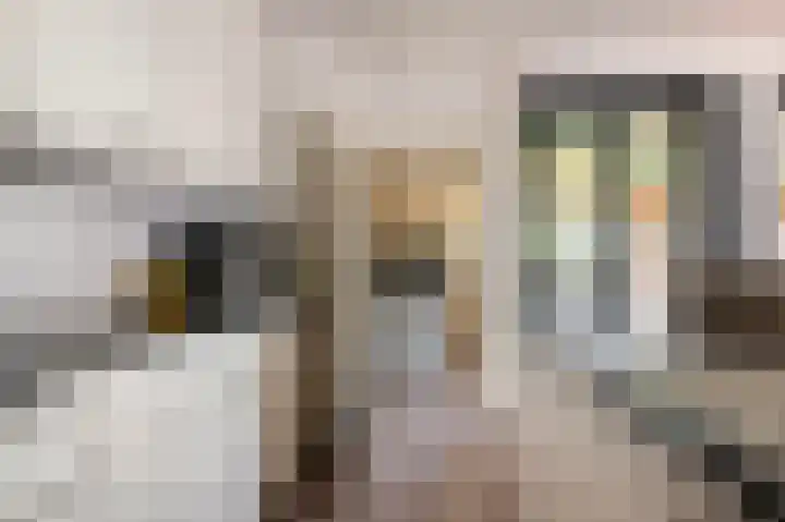 De Eikelaars 6 Vroomshoop thumbnail 18