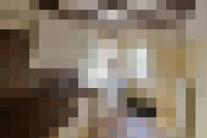 De Eikelaars 6 Vroomshoop thumbnail 23