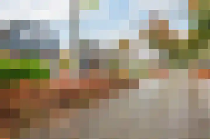 De Eikelaars 6 Vroomshoop thumbnail 38