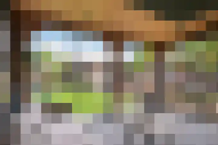 De Eikelaars 6 Vroomshoop thumbnail 4
