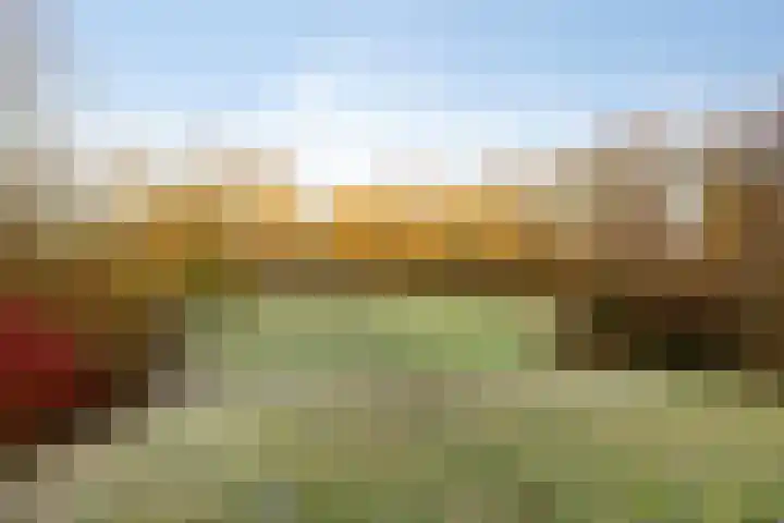 De Eikelaars 6 Vroomshoop thumbnail 41