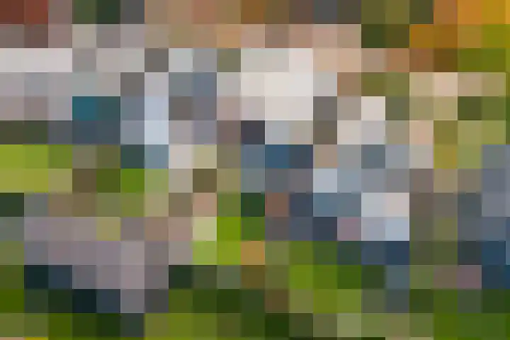 De Eikelaars 6 Vroomshoop thumbnail 46