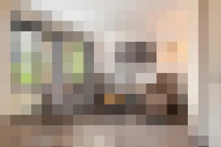 De Eikelaars 6 Vroomshoop thumbnail 8