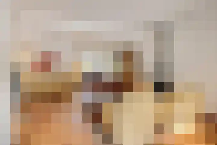De Eiken 20 Boekel thumbnail 10