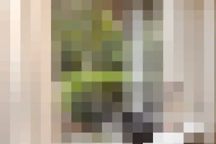 De Eiken 20 Boekel thumbnail 15