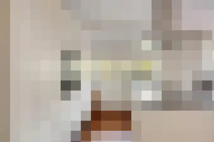 De Eiken 20 Boekel thumbnail 20